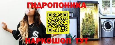 твердый Заводоуковск